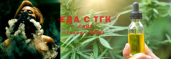 хмурый Арсеньев