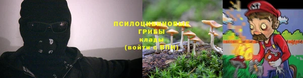 хмурый Арсеньев