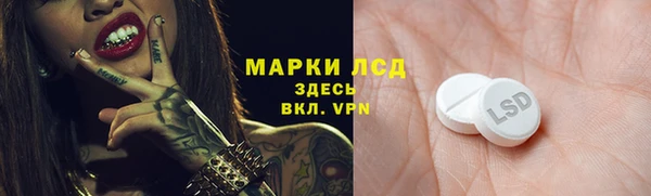 хмурый Арсеньев