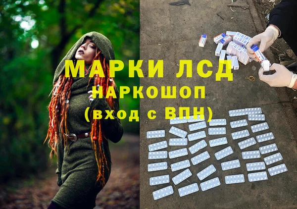 хмурый Арсеньев