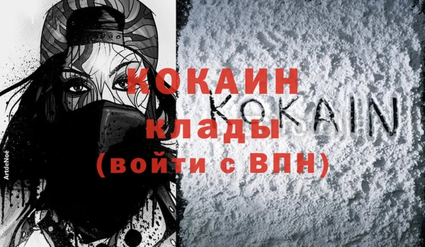 хмурый Арсеньев