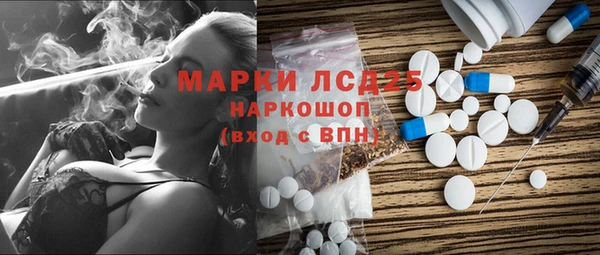 хмурый Арсеньев