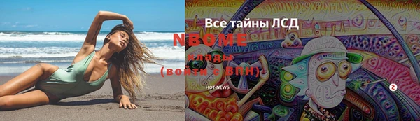 хмурый Арсеньев