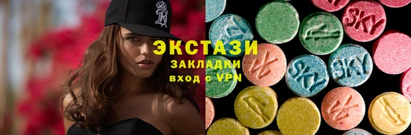 хмурый Арсеньев